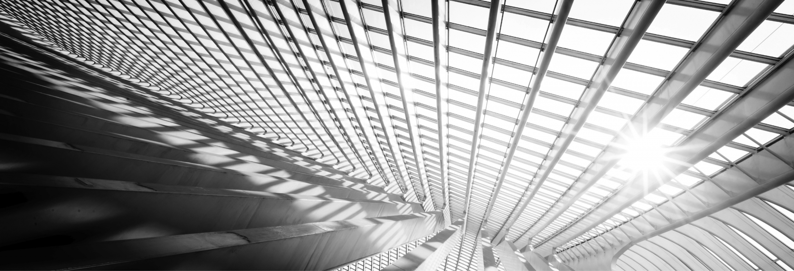 Piercing the Corporate Veil of Limited Liability Companies